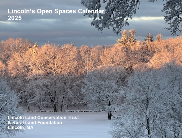 2025 Open Spaces Calendar