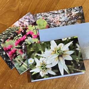 Nature Note Cards