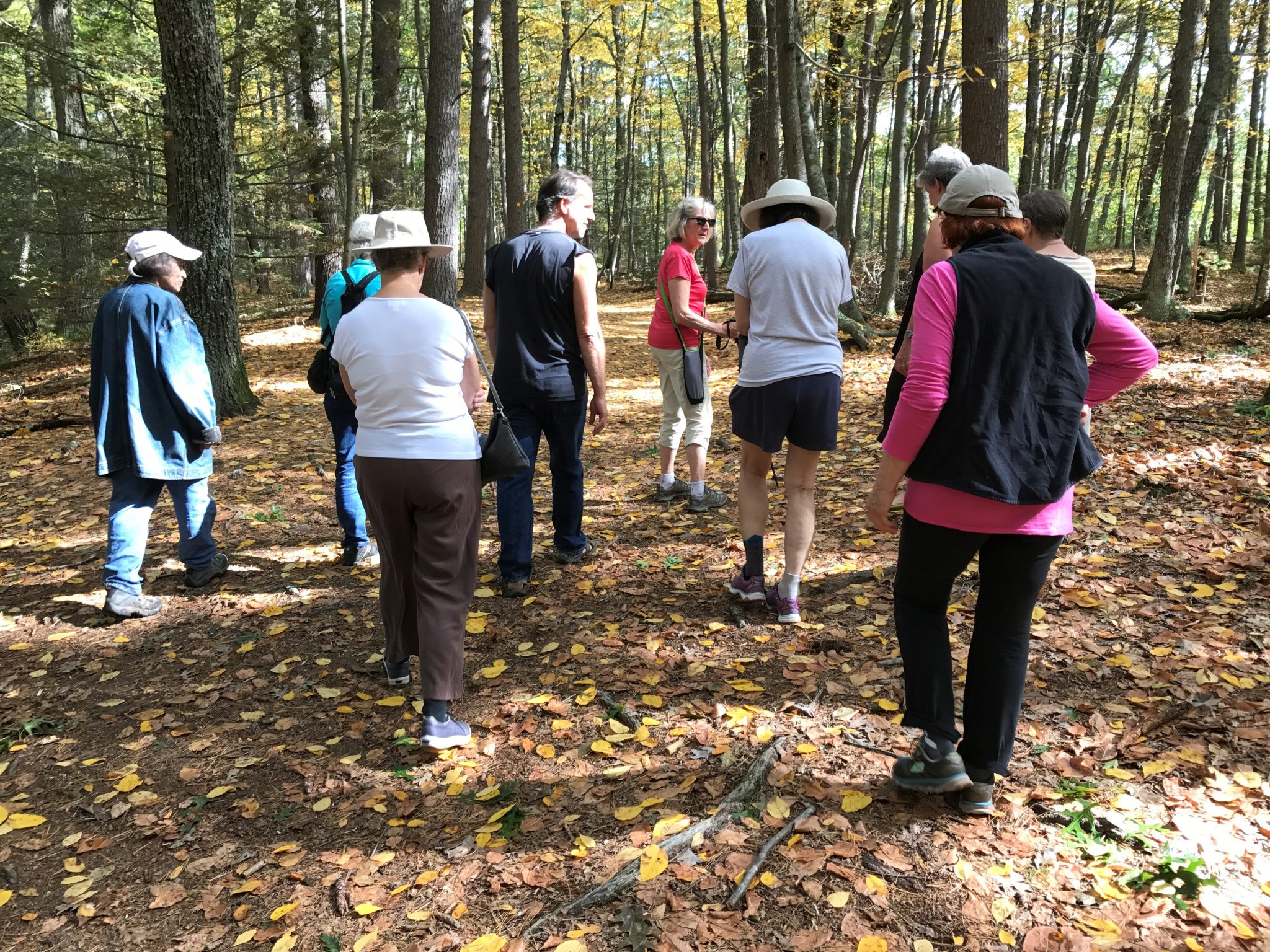 Rescheduled: Noticing Walk with John Calabria at Mt. Misery on 10/16