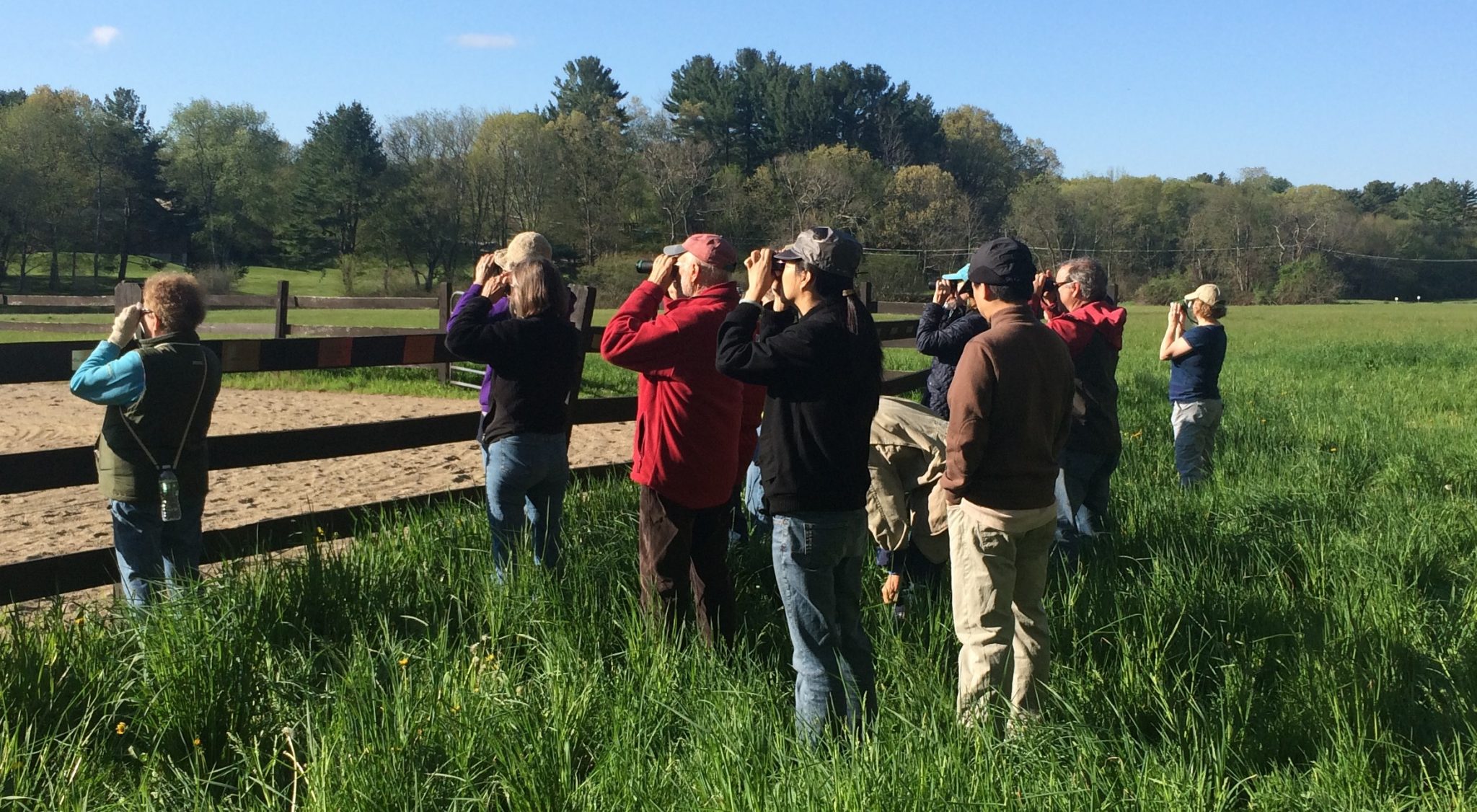 Spring Birding in Lincoln