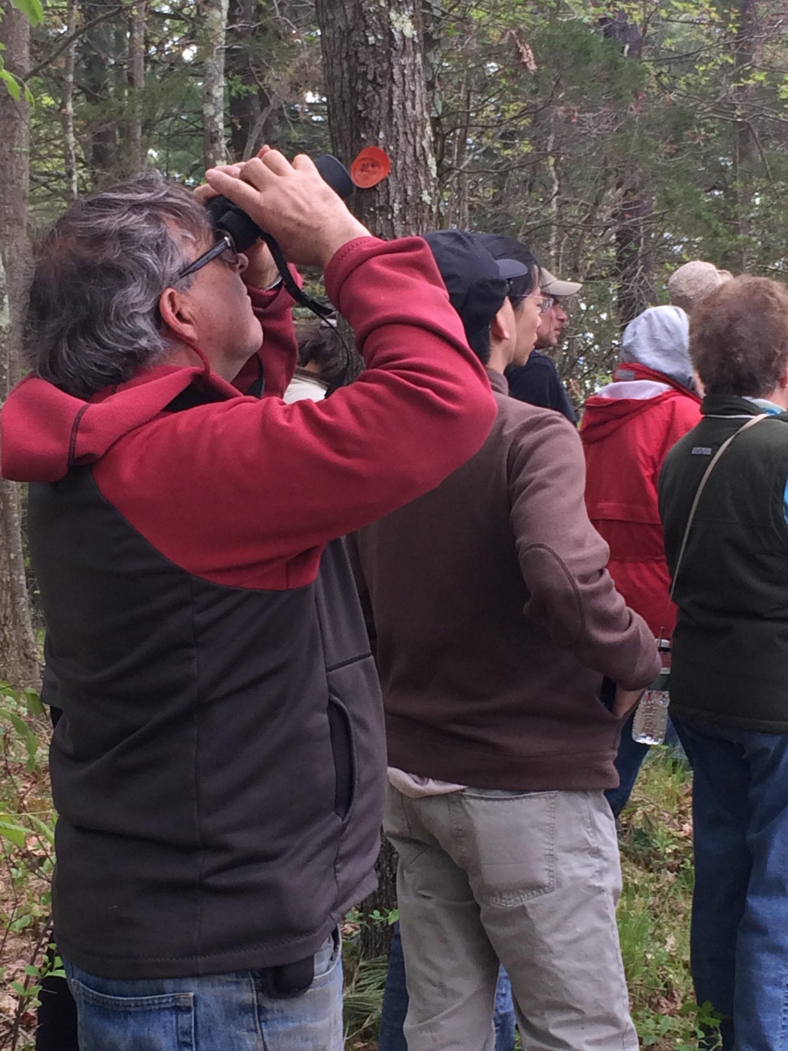 Annual Spring Birding in Lincoln Series from April through May