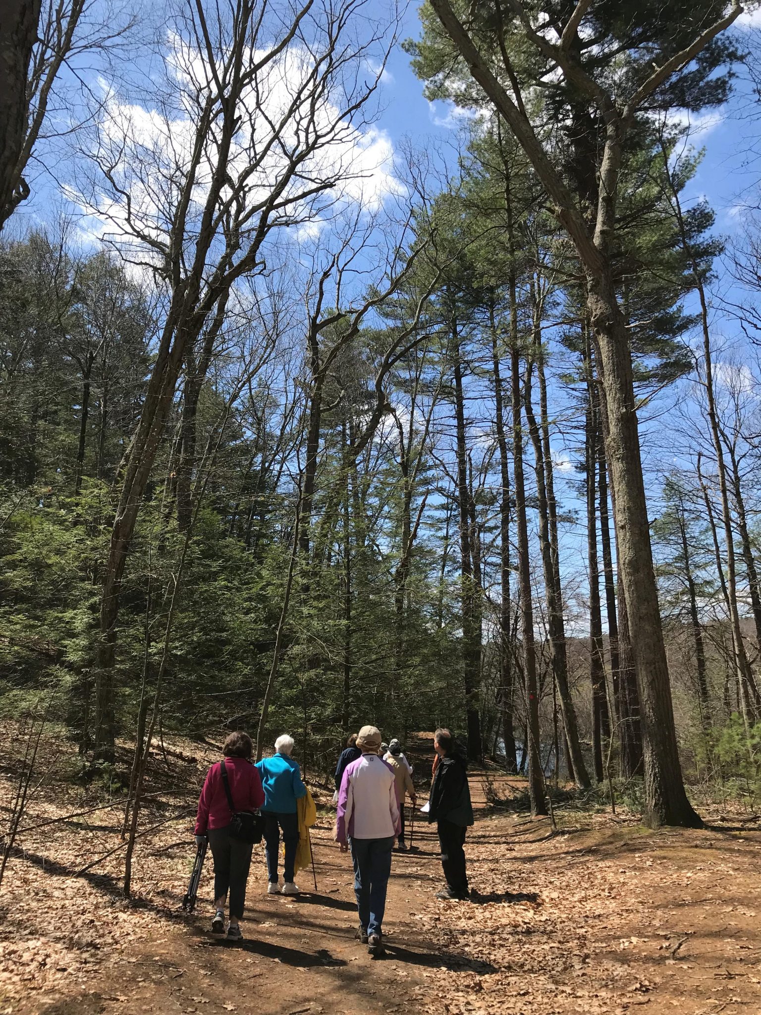 New Date! Bergen-Culver Mindfulness Walk with John Calabria