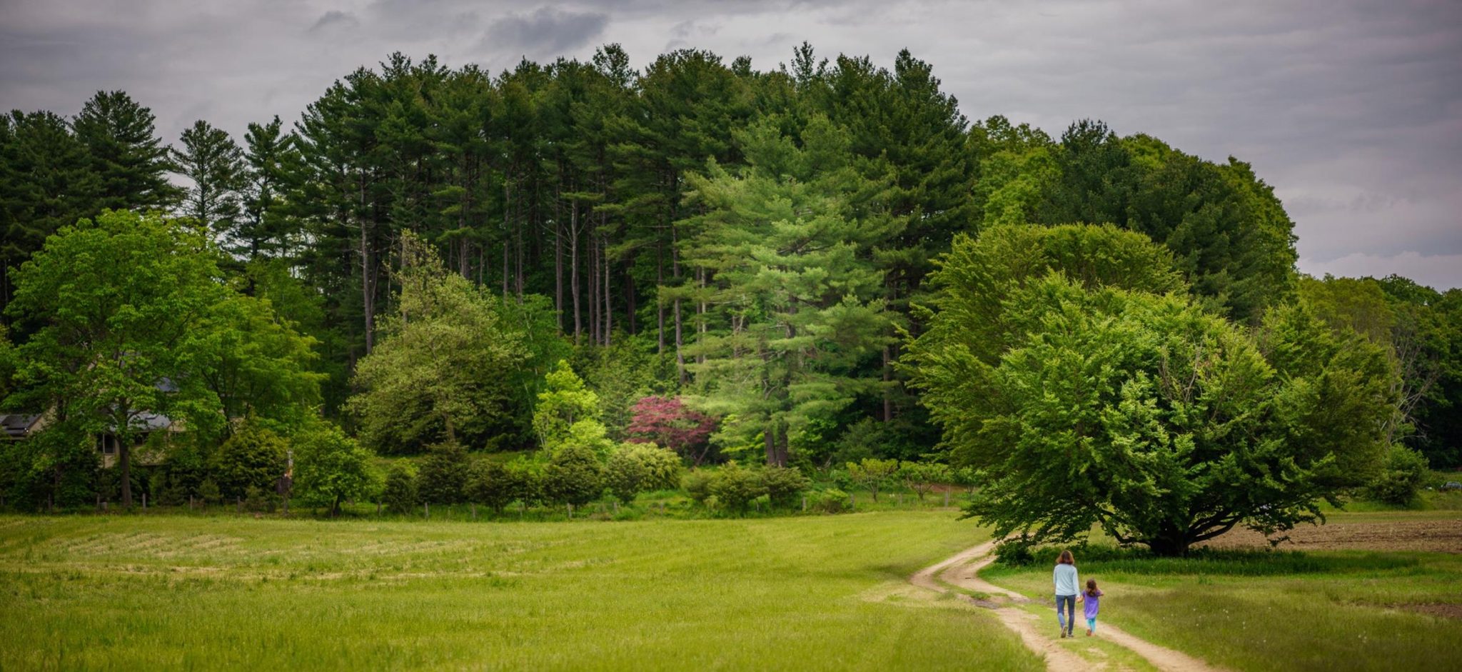 Lincoln Land Conservation Trust and Rural Land Foundation