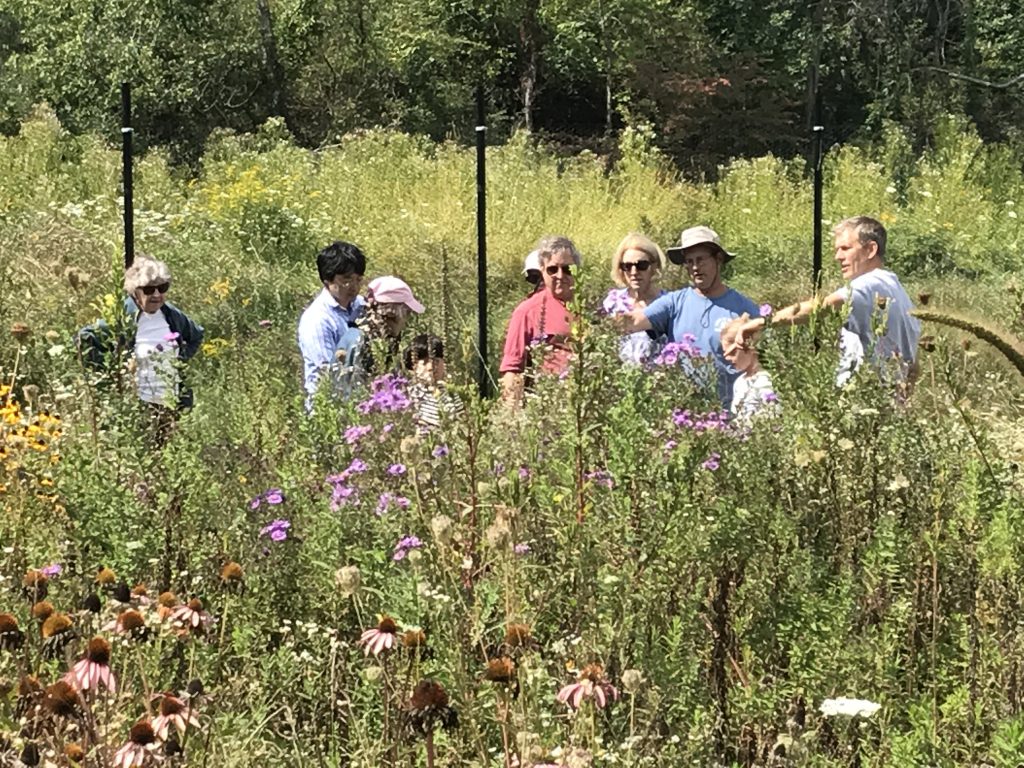 Plants & Pollinators Walk