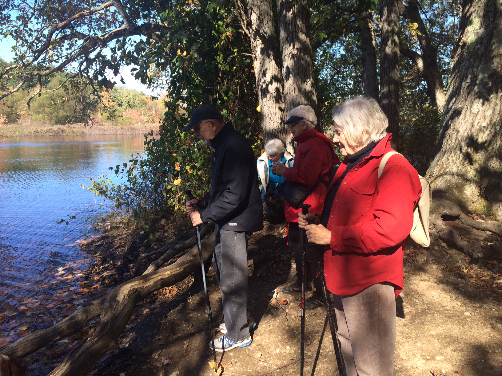 Cancelled on 11/20: Noticing Walk with John Calabria