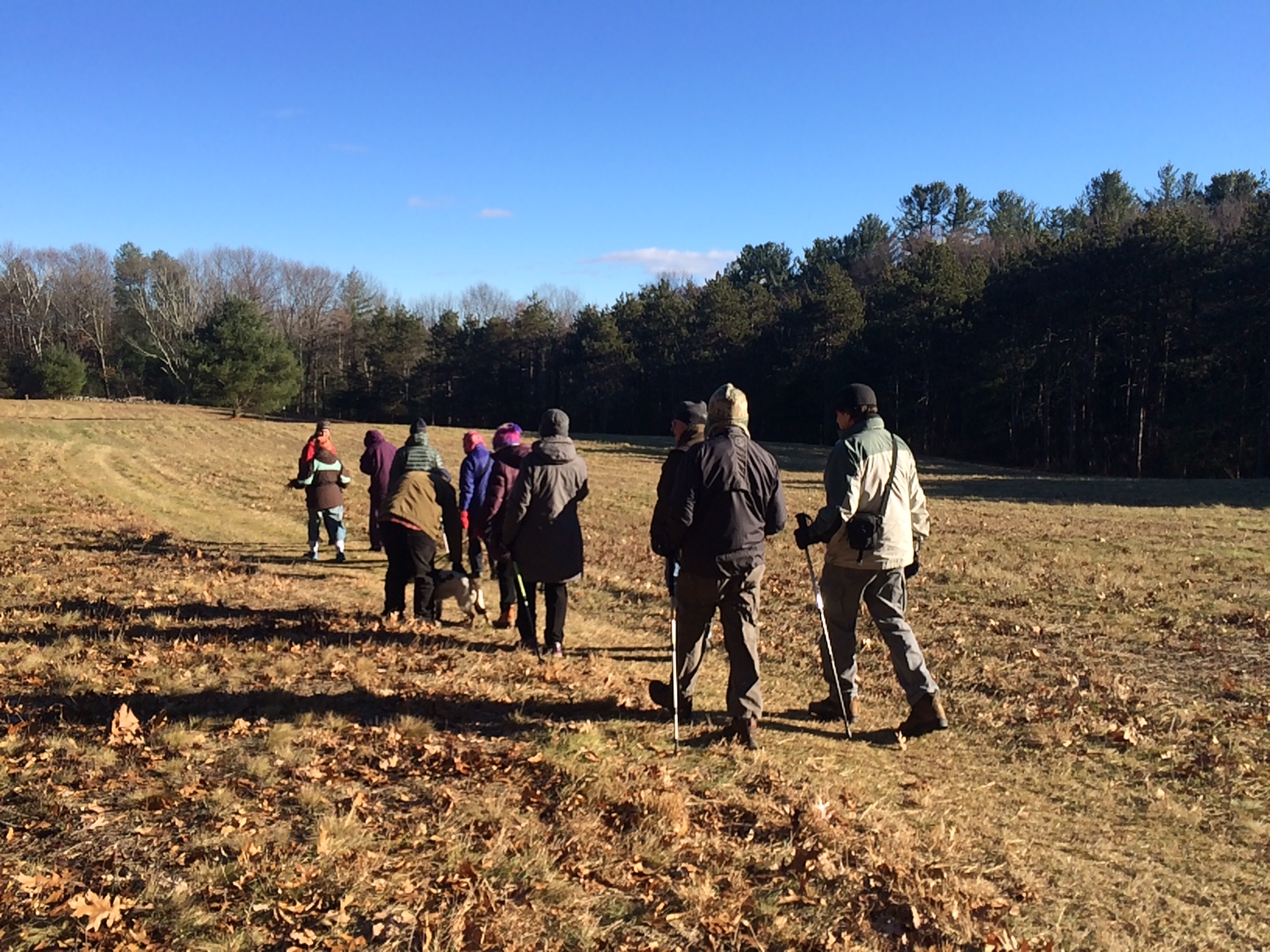 Spring Mindfulness Walks on First Tuesdays In April, May & June