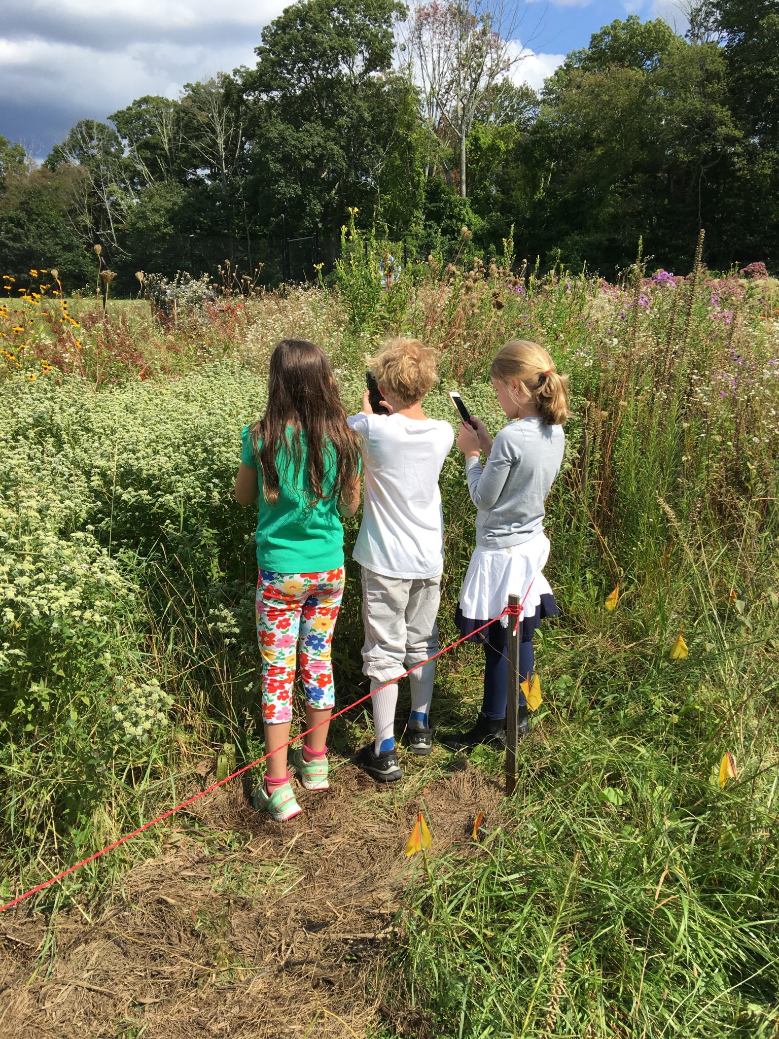 Photography Scavenger Hunt at the Meadow