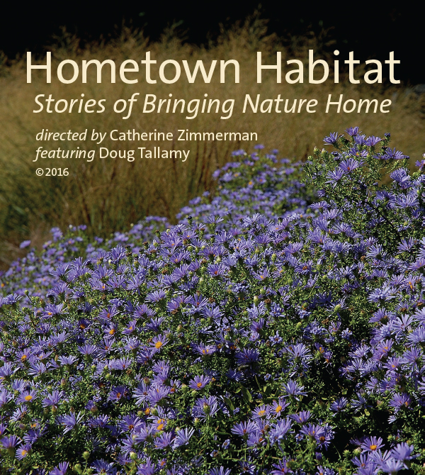 LLCT Movie Night: Hometown Habitat