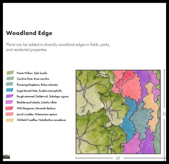 Designing Biodiversity: Toolkits to Create Pollinator Habitat and Connectivity