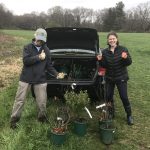 Planting Pollen and Nectar Rich Shrubs