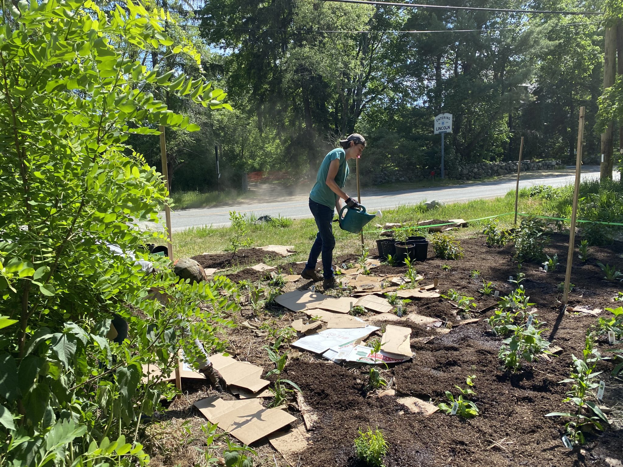 Field Work Fridays and Stewardship Saturdays