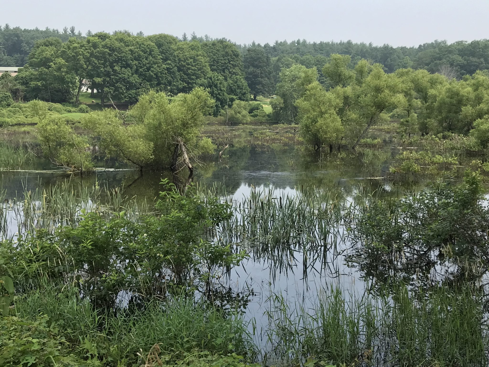 2021 Annual Meeting: The Power of Nature in our Fight Against Climate Change