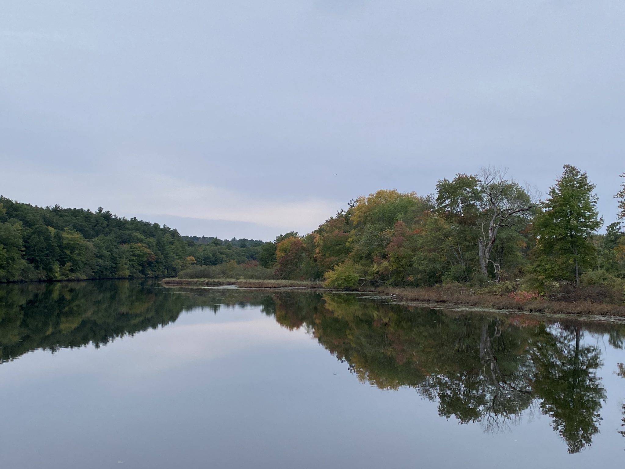 Are Our Rivers Healthy? Tackling Pollution in the Sudbury River