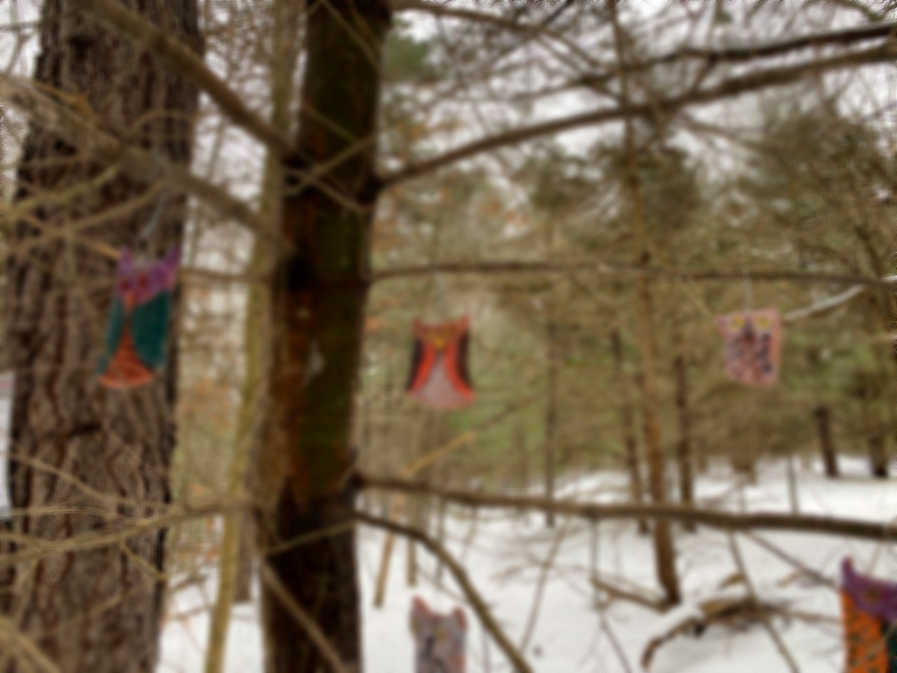 Art on the Trails Scavenger Hunt-Winter Carnival 2022