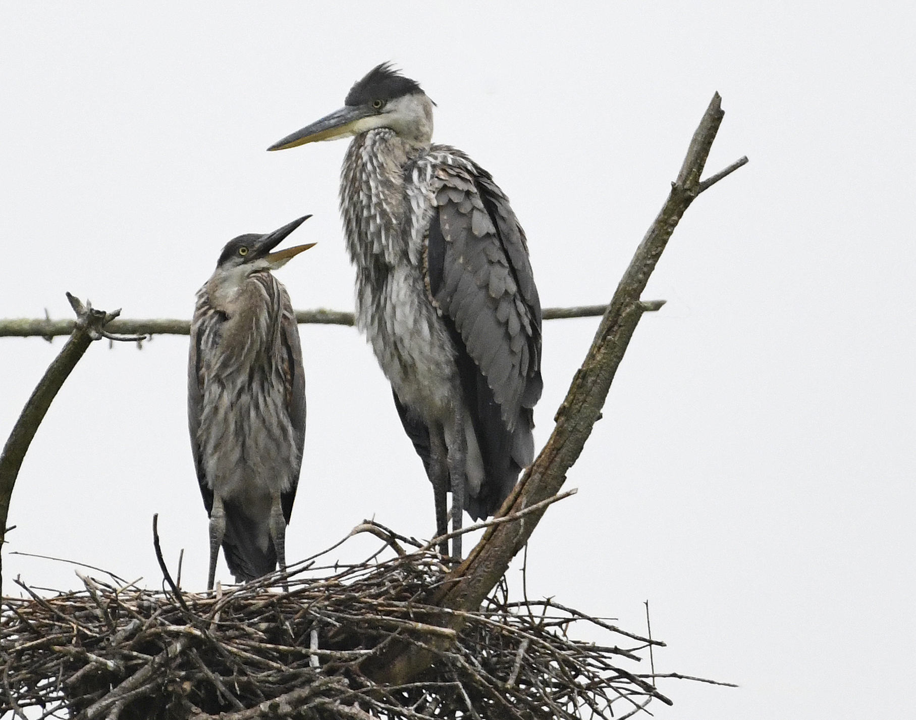 Photographing Moments in Nature with Barbara Peskin