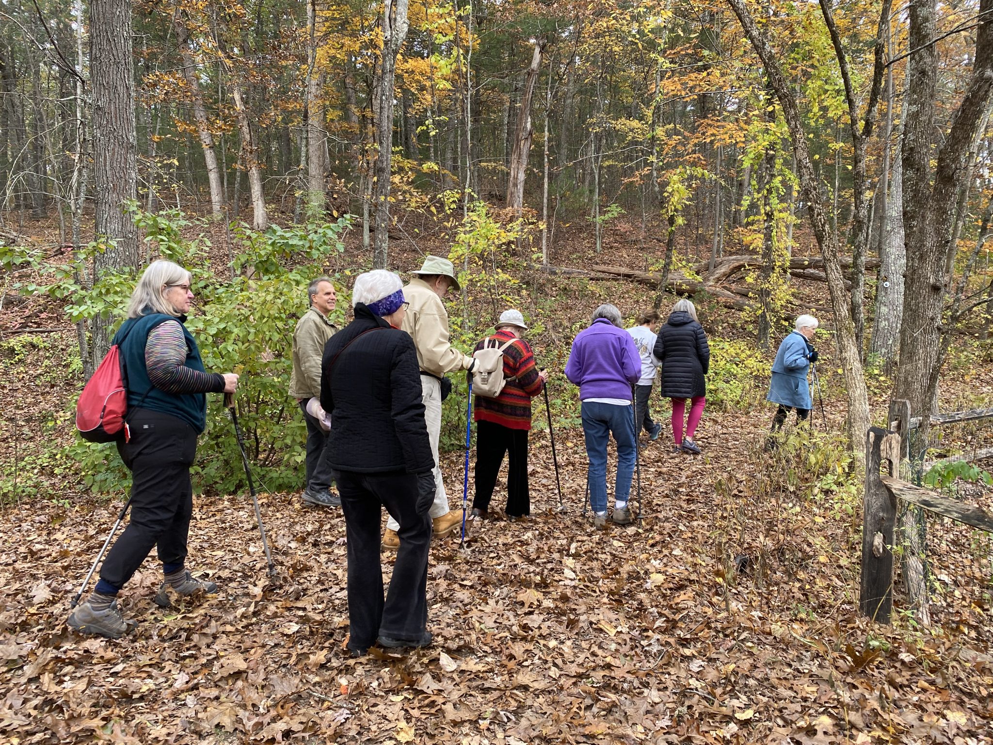 Fall 2022 Noticing Walks