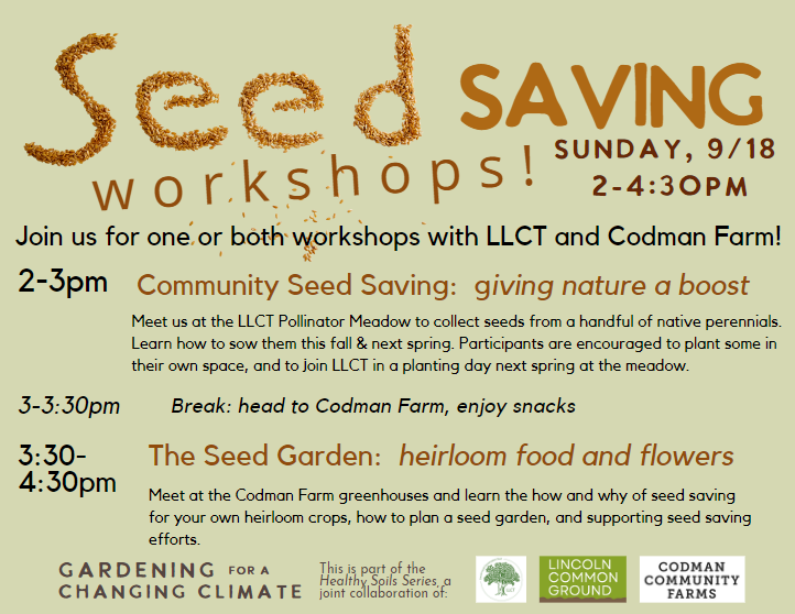 Gardening for Climate Change: Seed Saving Workshops