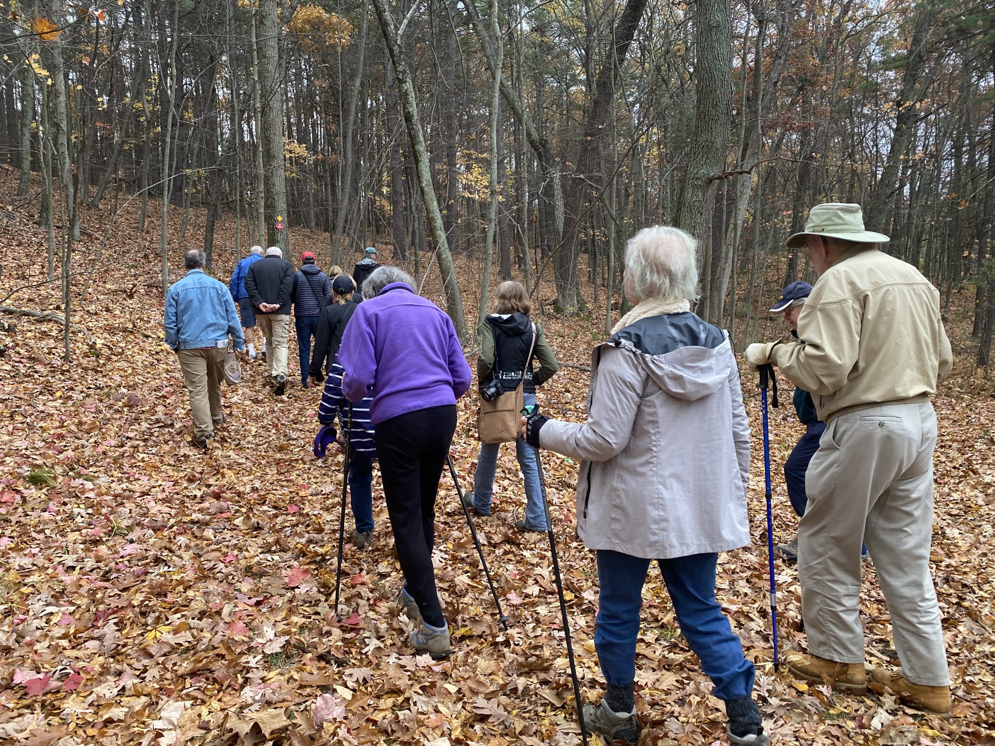 Spring 2023 Noticing Walks