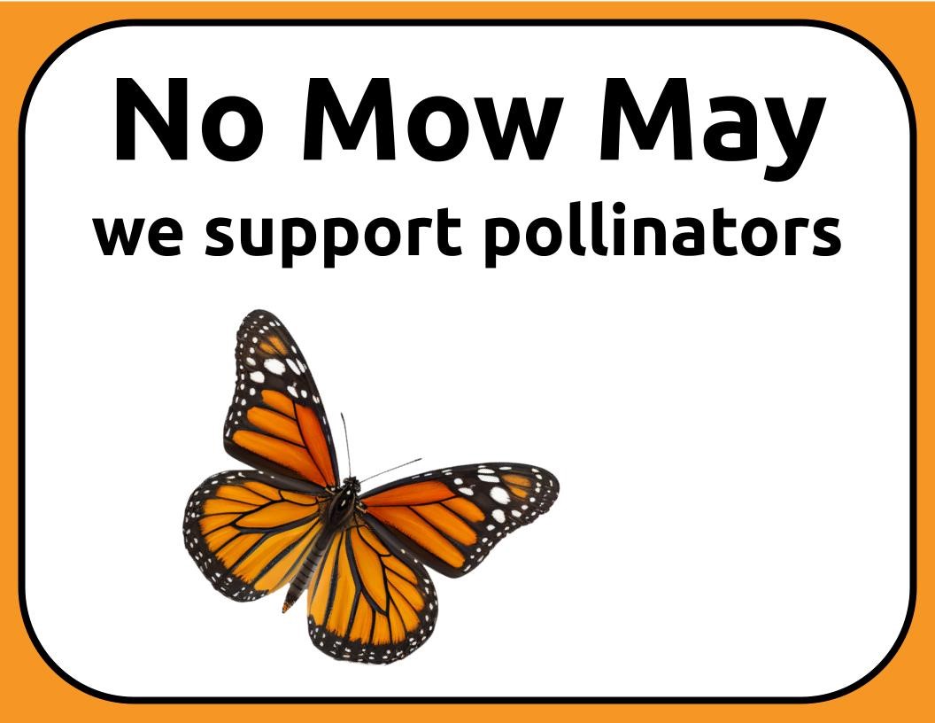 No Mow May