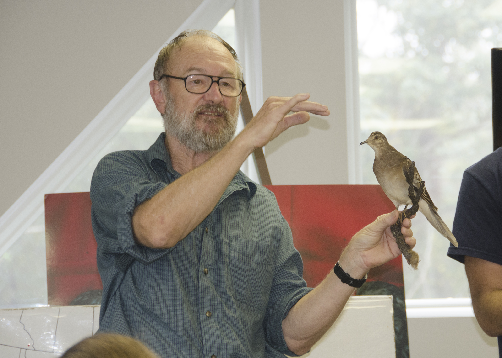 Why do Birds Matter? (Postponed)