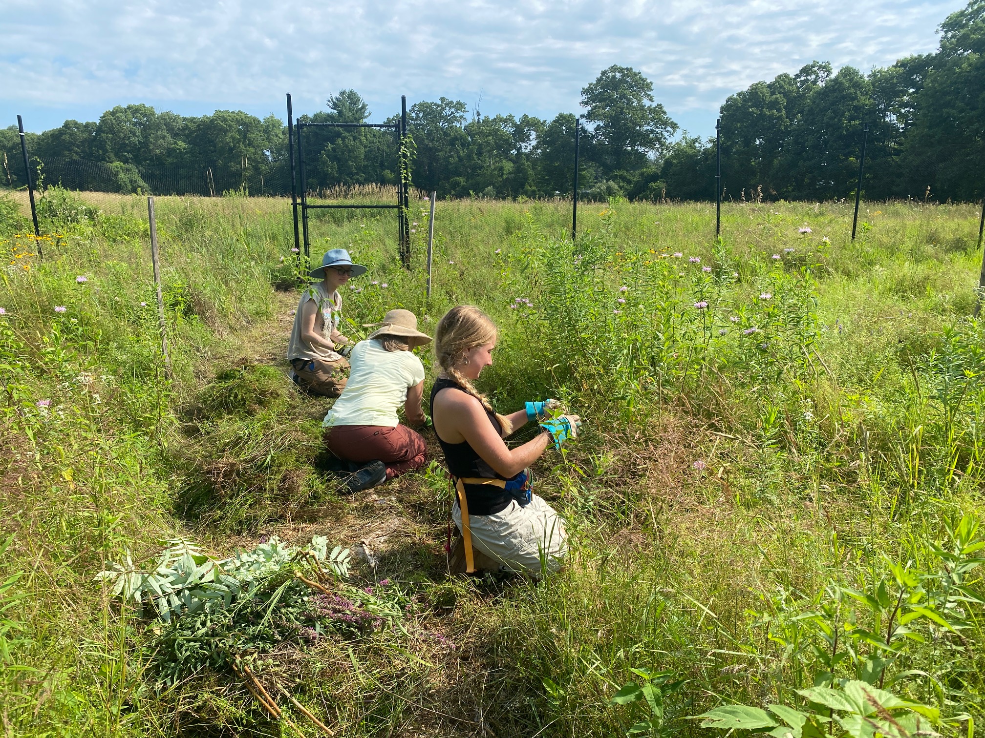 Pollinator Garden Work Days