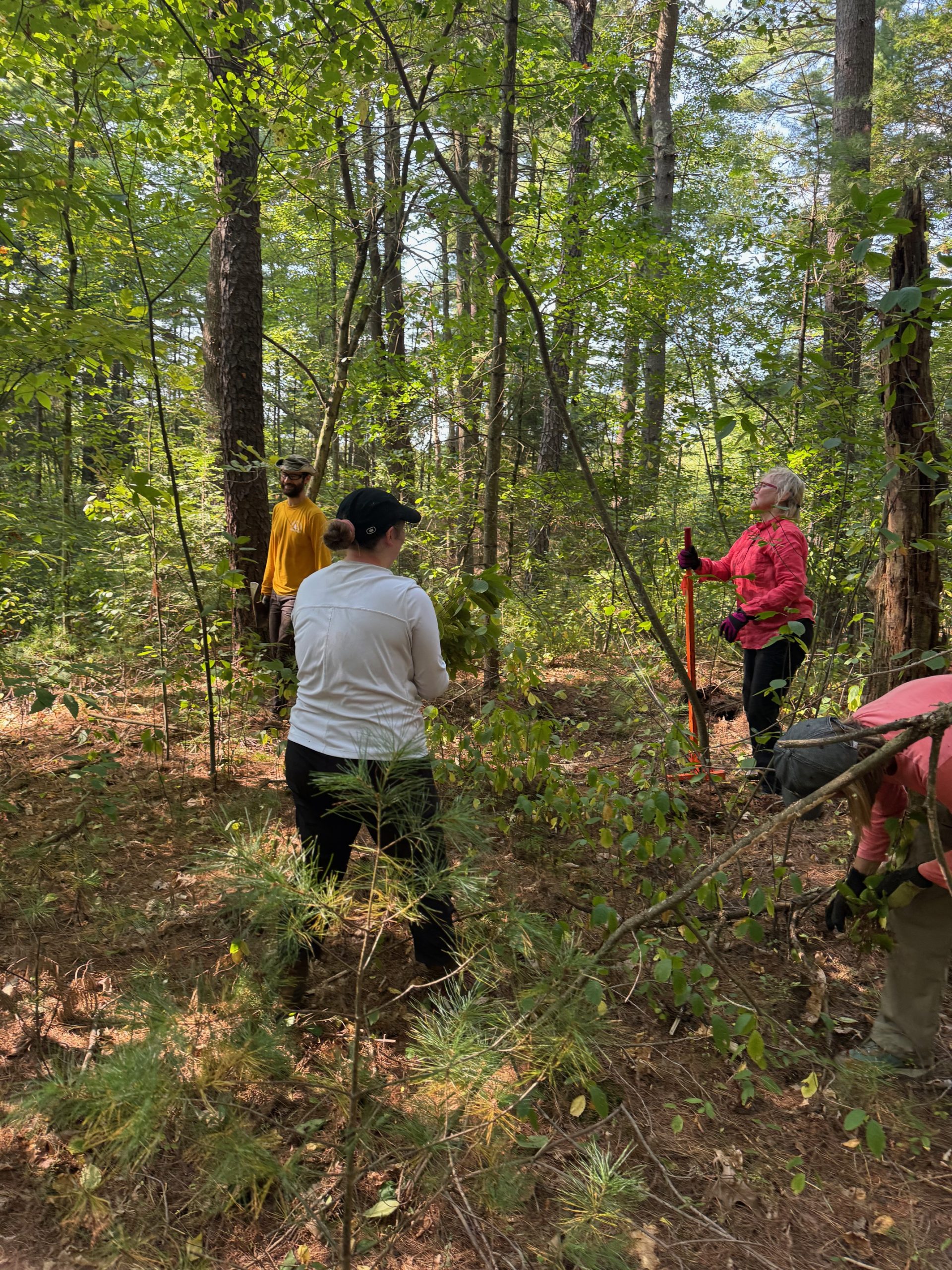 March 2025 Conservation Crew Volunteer Work Day