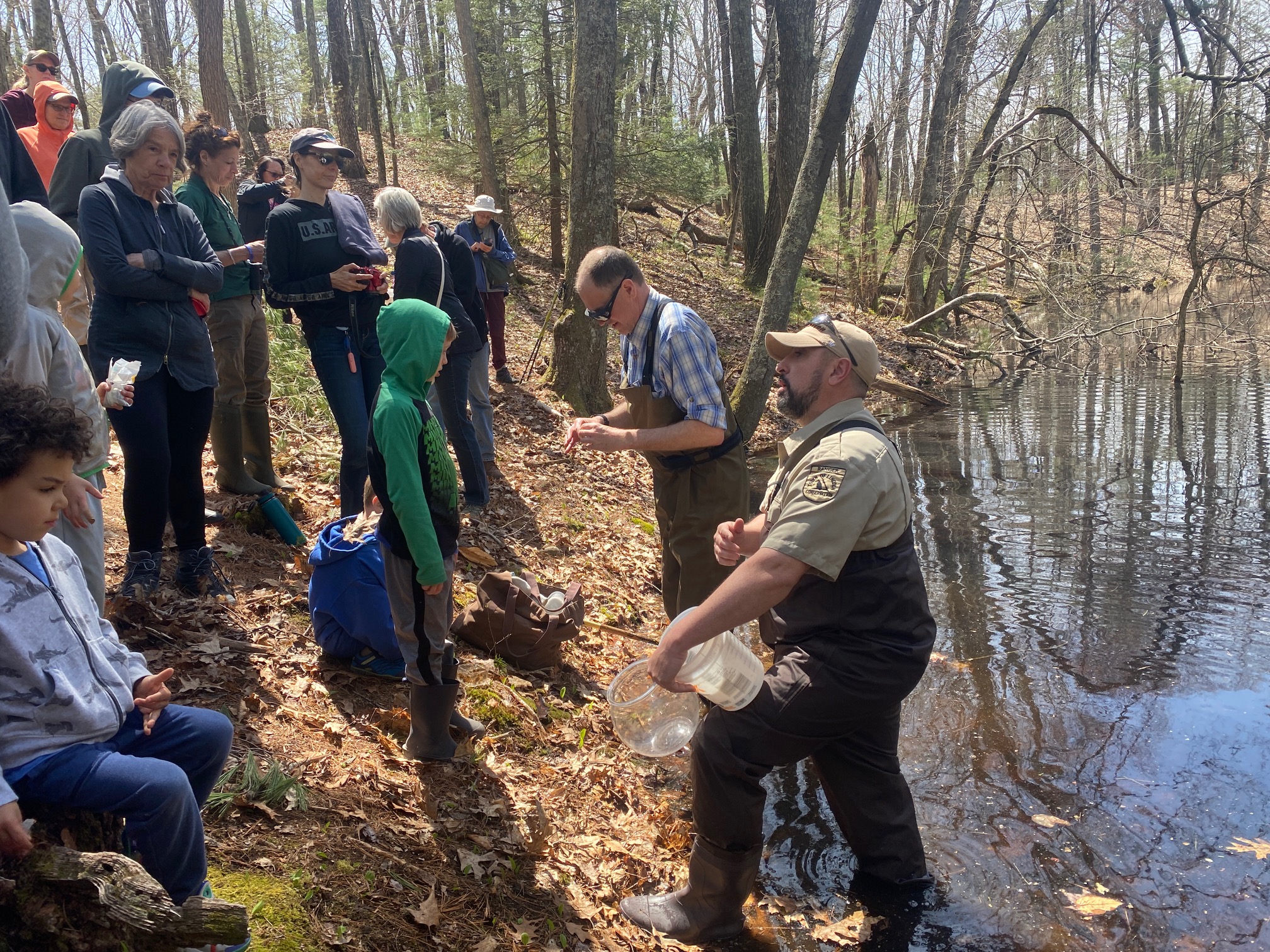 2025 Vernal Pool Exploration