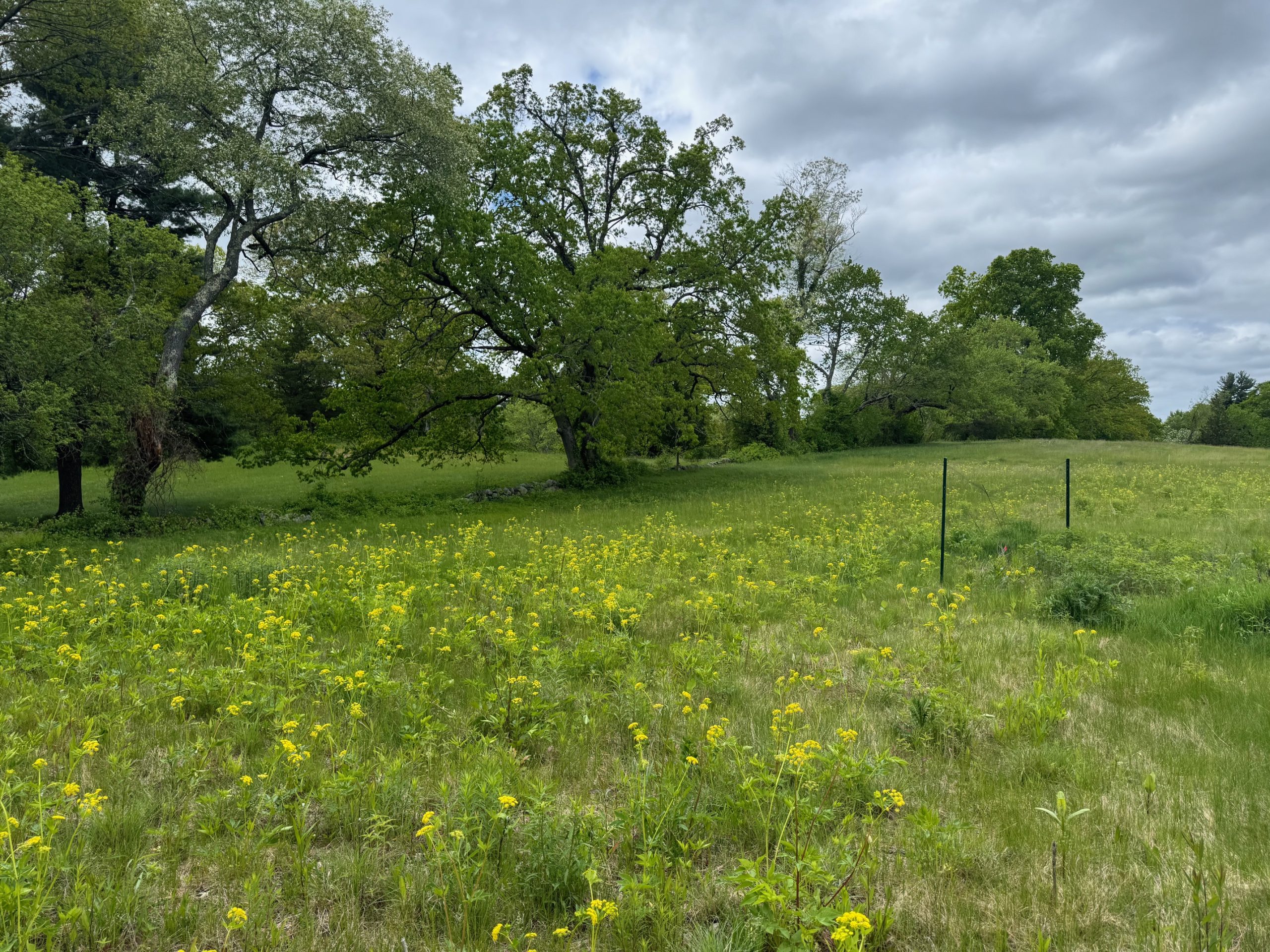 Pollinator Garden Open House: Chapman Pasture