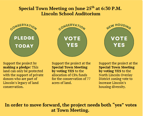 Special Town Meeting