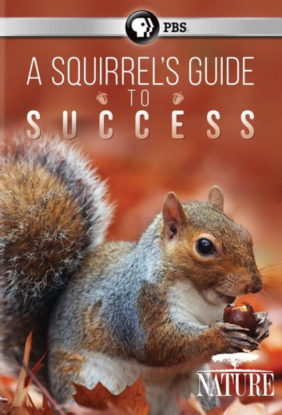 LLCT Movie Night: A Squirrel's Guide to Success