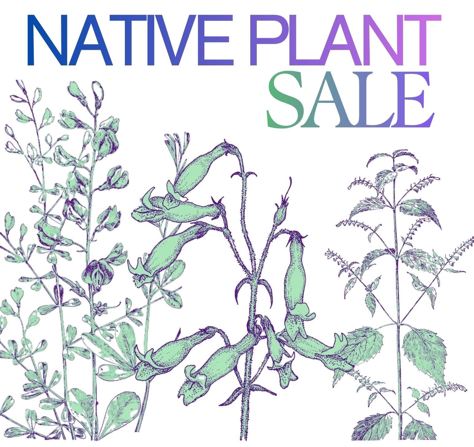 2026 Native Plant Sale